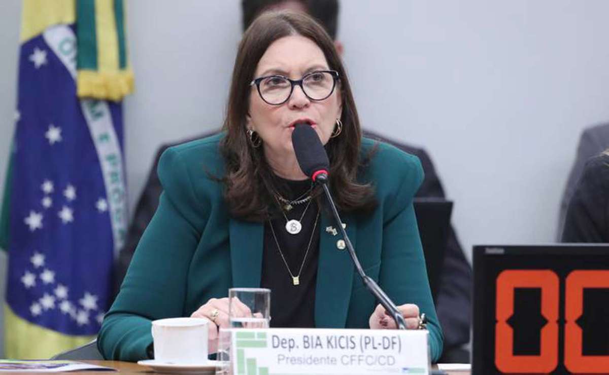 Bia Kicis não reconhece deputada e pede para Polícia Legislativa retirar colega de comissão